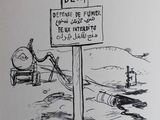 Photo 4/11 du lot