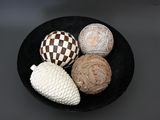 a black plate with three different types of shells on it