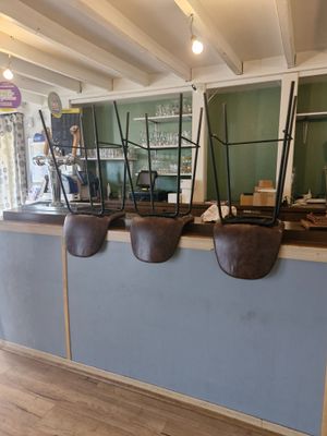 trois jardinières posées sur le comptoir d'un restaurant