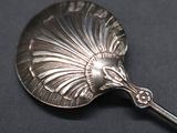 a silver spoon with a shell on it on a black surface