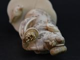a close up of a shell with shells on it