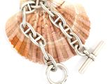 a shell with a chain and a cross on it