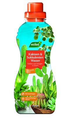 WESTLAND - Engrais liquide cactus et succulentes - 720ml - P…