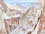 painting of a snow leopard on a snowy mountain side