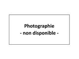 Photo 1/1 du lot