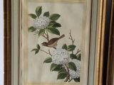 two framed pictures of birds and flowers on a wall