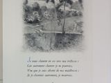 Photo 8/13 du lot