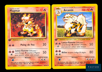 deux cartes Pokémon sur lesquelles figurent un chat et un chien