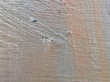 a close up picture of a piece of wood with paint on it