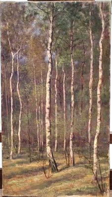an oil painting of a forest scene with trees in the foreground