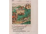 Photo 2/5 du lot