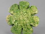 an image of a close up of a green flower on a gray surface