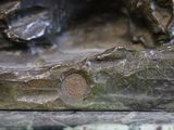 a close up of a statue of a bear on a rock