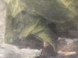 une peinture à l'huile représentant une femme vêtue d'un châle vert, assise sur un rocher