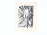 un dessin en noir et blanc représentant un arbre et un escalier