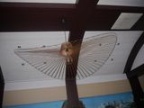 un ventilateur de plafond suspendu au plafond d'une pièce
