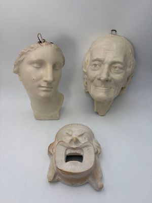 three heads of people on display on a white surface