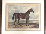 tableau représentant un cheval debout dans un champ, avec un ciel nuageux en arrière-plan