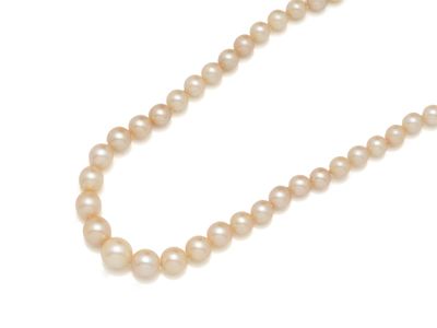 Collier composé d'une chute de perles de culture d'environ 3…