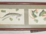 a picture of a picture of fish on the wall