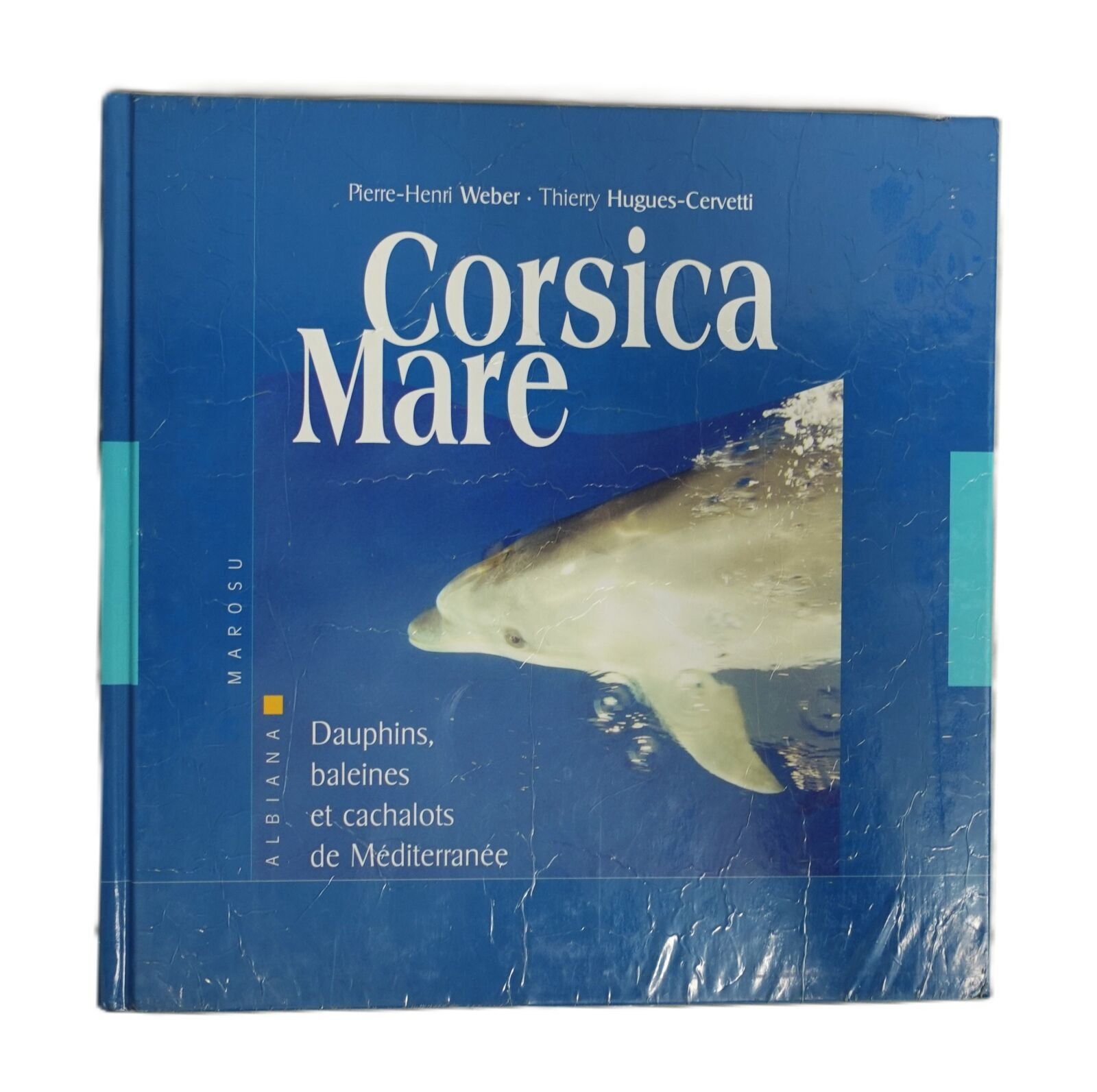 Objets d'art & Curiosités