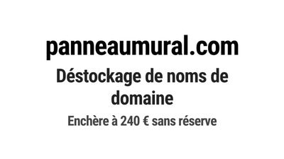 Nom de domaine panneaumural.com.