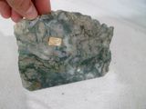 a person holding a piece of rock with a sticker on it