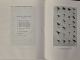 an open book with a picture of flies on it