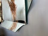 a mirror hanging on the wall with a bunch of dried plants in it