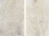 two drawings of a tree and a bird on a wall