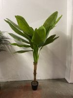 Ensemble de plantes artificielles de décoration comprenant :… (photo 3)