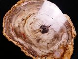 a picture of a piece of wood with a clock on it