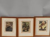 three framed pictures of animals in a room with a white wall