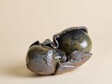 une petite sculpture représentant une grenouille assise sur une table