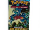 a close up of a card case with a pokemon character on it