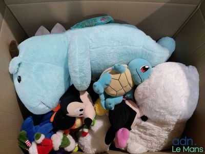 de nombreuses peluches rassemblées dans une boîte en carton