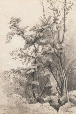 une image représentant un dessin d'un arbre dans un paysage rocheux