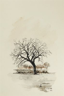 une image représentant un dessin d'un arbre nu dans un champ