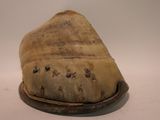 a large piece of bread on a plate on a table