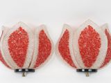 pair of red and white tulips on a white background