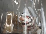 a teddy bear in a clear plastic bag on a shelf