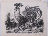drawing of a rooster on a piece of paper hanging on a wall