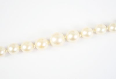 a single strand of white pearls on a white background