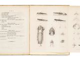 un livre ouvert sur lequel figurent des illustrations représentant différents types d'animaux