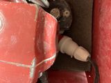 an image of a red fire hydrant in a red box