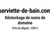 Photo 1/1 du lot