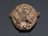an image of a badge with a crown and wings on a black background