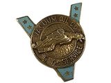 an image of a pin with a badge on it