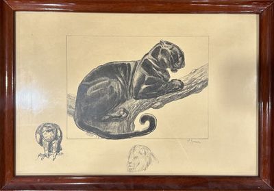dessin représentant un chien noir assis sur une branche d'arbre, avec un chat en arrière-plan