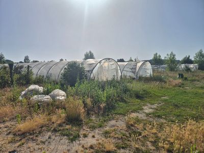 de nombreuses serres installées dans l'herbe au bord de l'eau